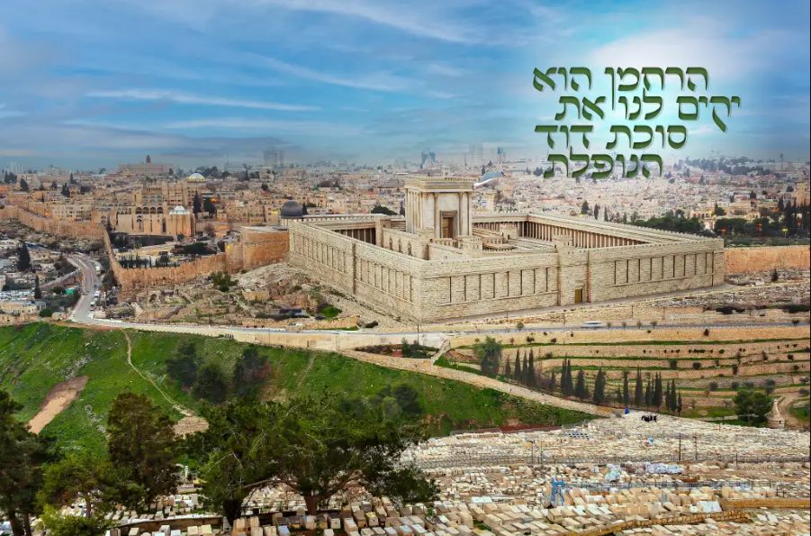 Illustrated Beis Hamikdash Jerusalem Sukkah mural