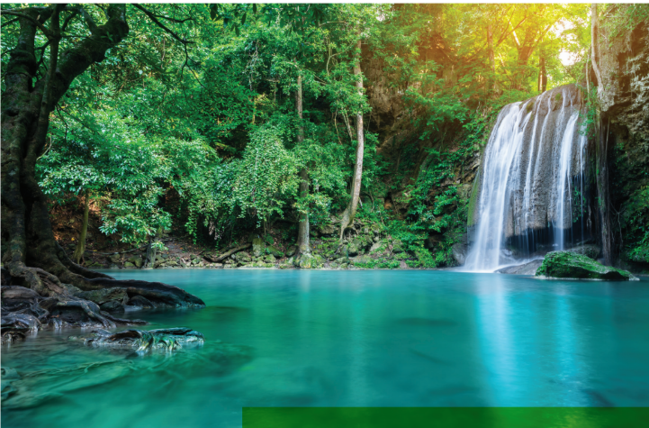 Forest waterfall scenic Sukkah backdrop with turquoise pool